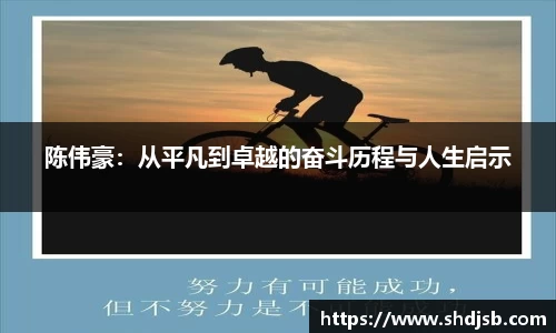 陈伟豪：从平凡到卓越的奋斗历程与人生启示