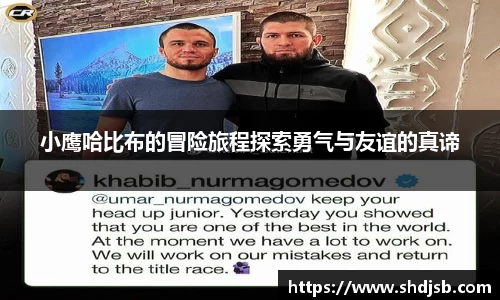 小鹰哈比布的冒险旅程探索勇气与友谊的真谛